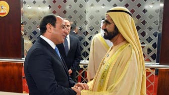 UAE and Egypt assert joint strategies to stop supply of weapons to terrorists