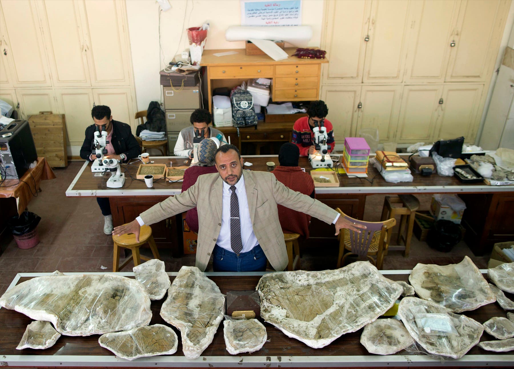 dr hesham sallam mansourasaurus AP