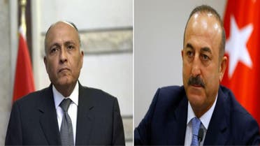 وزيرا خارجية تركيا و مصر 3