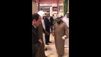 WATCH: Emirati man salutes Egypt’s Sisi on tour with Mohammed bin Zayed