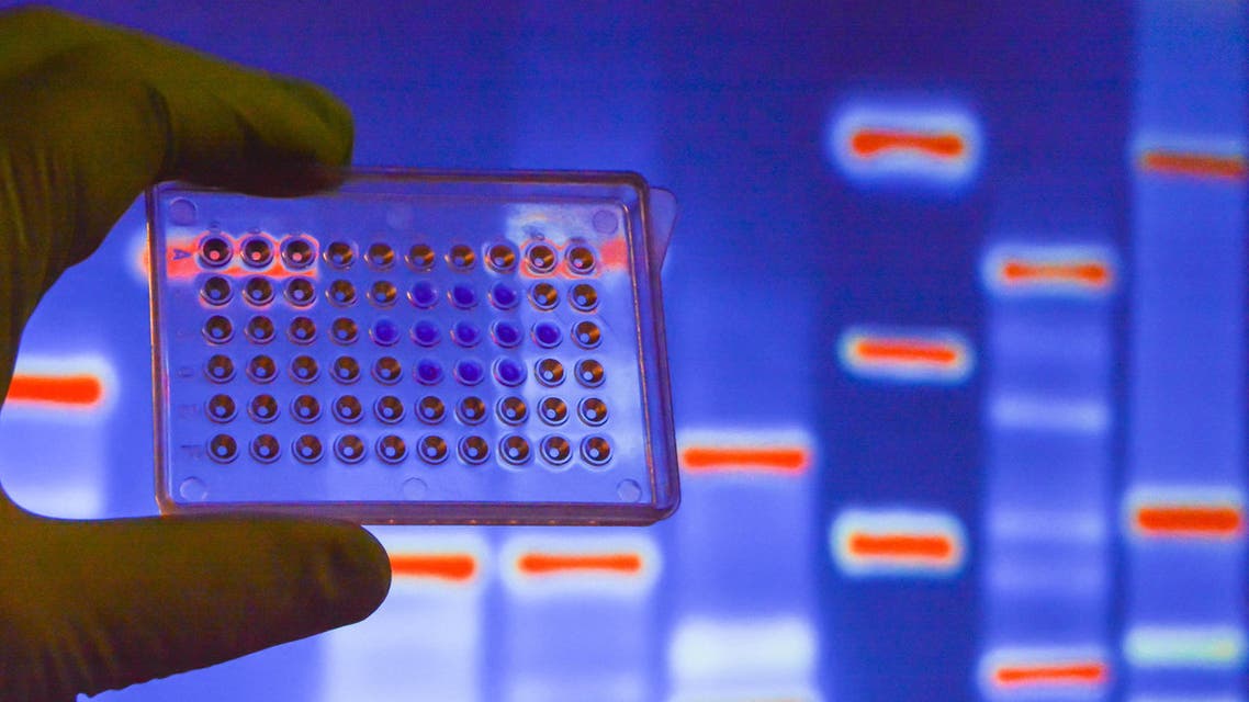 genetics science. (Shutterstock)