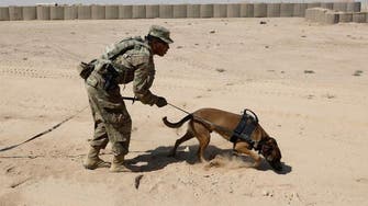 "كلاب الجيش" تفتح تحقيقاً عسكرياً في أميركا