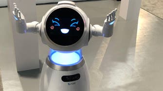 Marriage would be an interesting experience, robot says in Dubai