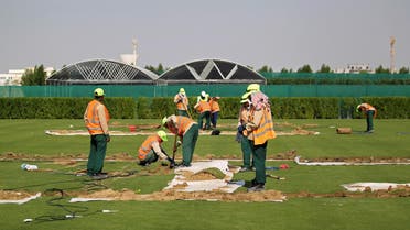 qatar world cup workers. (Reuters)