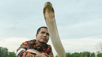 Famous snake hunter dies in Malaysia after King Cobra bite