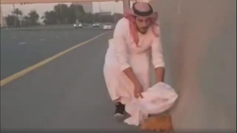 Emirati Man Rescues Cat From Dubai Highway