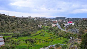 Saudi Arabia’s al-Namas: A combination of nature, beauty and history 
