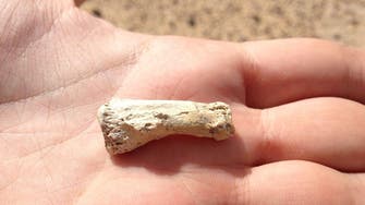 85,000-year-old fossil finger bone found in Saudi Arabia