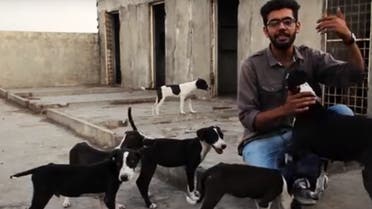 The future aim of this shelter is to open a no kill animal shelter for all the stray animals in Pakistan. (Screengrab)