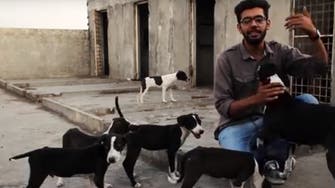VIDEO: A shelter ensuring happy life for stray animals in Pakistan