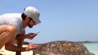 WATCH: Dubai crown prince rescues a sea turtle