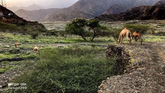 PICTURES: Breathtaking views of Saudi’s Tayeh Valley in Asir 