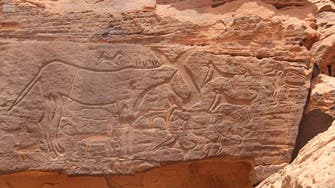 PICTURES: Saudi rock inscriptions highlight prehistoric civilizations