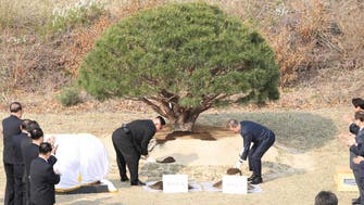 North Korea’s Kim, South Korea’s Moon plant tree for peace at border