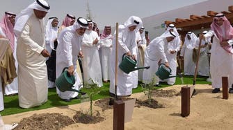 Saudi Aramco to plant one million trees in eastern Saudi Arabia 