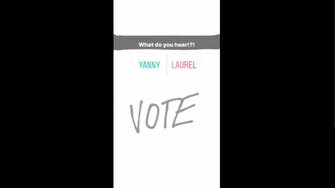 Yanny or Laurel? Soundbite sparks internet din
