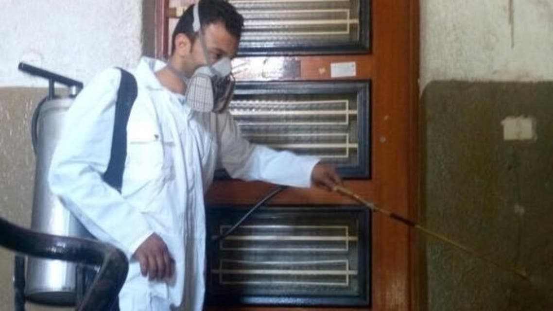 صورة الحشرة وتعامل وزارة الصحة معها