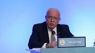 Riyad al-Maliki speaks during a meeting of the OIC Foreign Ministers Council in Istanbul on May 18, 2018. (Reuters)
