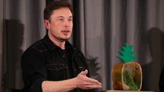 Tesla’s Musk bashes media, proposes credibility check
