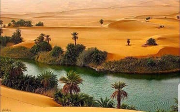 oasis dunes
