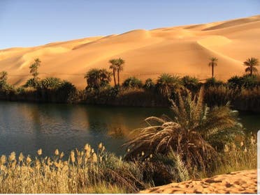 oasis empty quarter