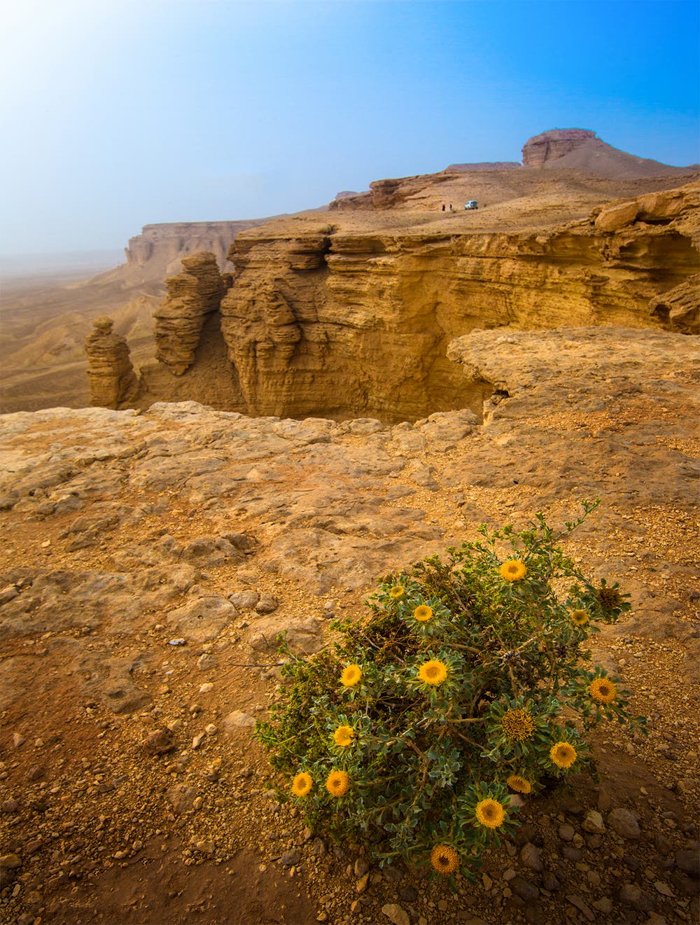 هكذا وثق مصور سعودي جمال الطبيعة بالمملكة F1efabff-b58a-44cb-a37c-fe691fd923b1
