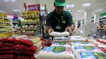 Rice traders have said that the new policies would push Egypt to import up to 1 million tons of the grain next year. (Reuters)