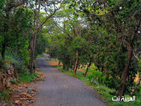 صور تأسر القلب جبال النماص السعودية تعانق السحاب