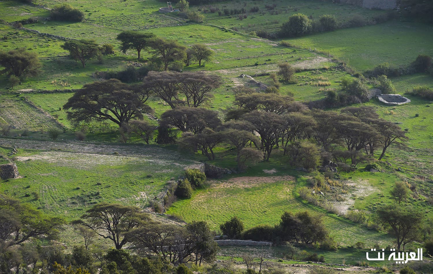صور تأسر القلب جبال النماص السعودية تعانق السحاب