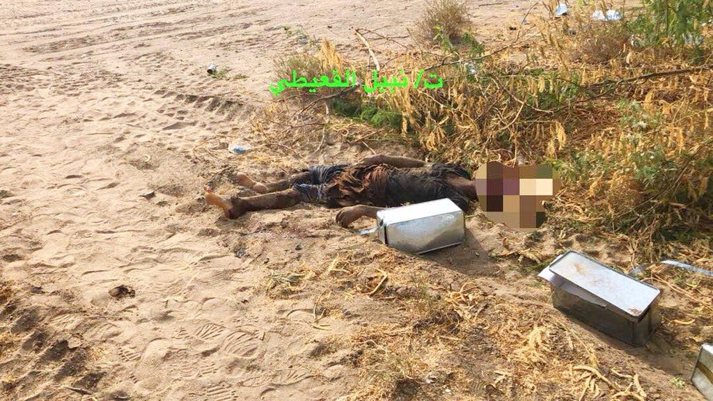 جثث الحوثيين تتناثر في الساحل الغربي