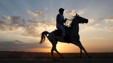 Saudi Arabia horses equestrian. (AP)