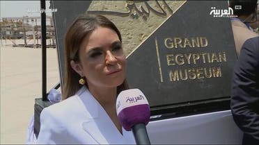 egypt minister5