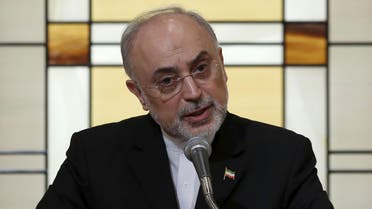 ali akbar salehi Iran nuclear 2(Reuters)