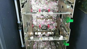 The rats munched through an estimated 1.2 million rupees ($18,000) worth of hard currency. (Twitter) 