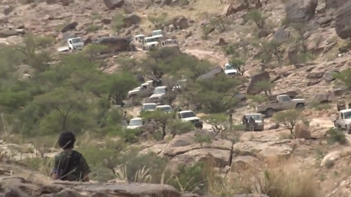 sadaa coalition (Supplied)