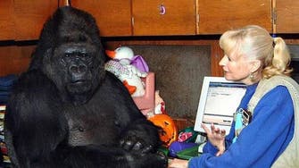 Famed sign-language gorilla Koko dies in California 