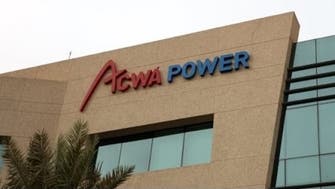 Saudi ACWA Power invests $1.5 bln in Egypt wind power plant: Egypt cabinet