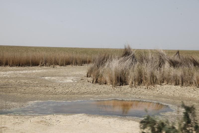 Refusal to meet the water needs of various cities in Arabistan has caused the drought of marshlands. (Supplied)