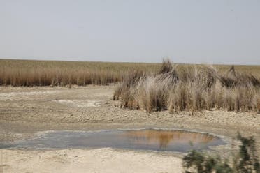 Refusal to meet the water needs of various cities in Arabistan has caused the drought of marshlands. (Supplied)