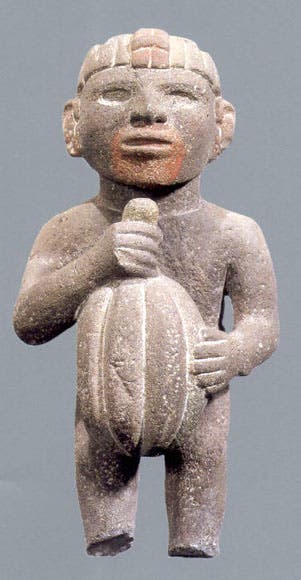 تمثال صغير يعود لشعب الأزتك يجسد شخصا وهو يحمل ثمرة كاكاو