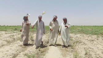 VIDEO: Iraq’s treasured amber rice crop devastated by drought