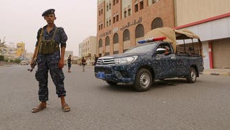 Coalition: 341 Houthi militias killed within 72 hours