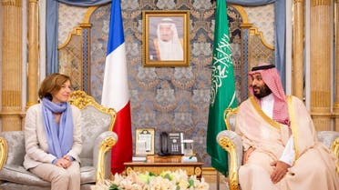 Saudi Crown Prince meets with French Minister of the Armed Forces