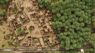 Exploring Saudi Arabia: How Asir’s Bisha became the ‘town of palm dates’