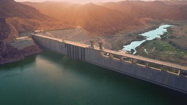 Exploring Saudi Arabia: How Asir’s Bisha became the ‘town of palm dates’