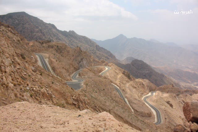 Saudi Assir