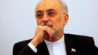 Head of the Iranian Atomic Energy Organization Ali Akbar Salehi attends the lecture "Iran after the agreement: Hopes & Concerns" in Vienna, Austria, September 28, 2016. REUTERS