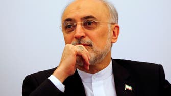 Iran nuclear chief: New centrifuge rotor factory built