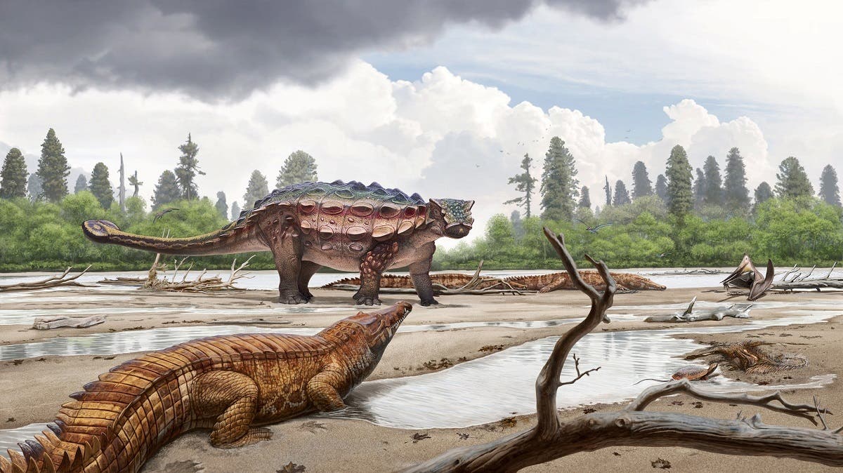 Utah dinosaur Akainacephalus johnsoni 1 (Reuters)