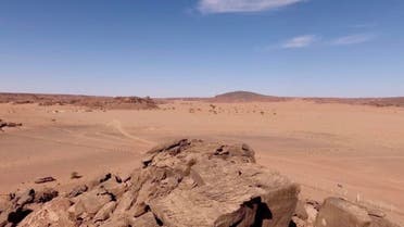Saudi Lion Hail 7 (Supplied)